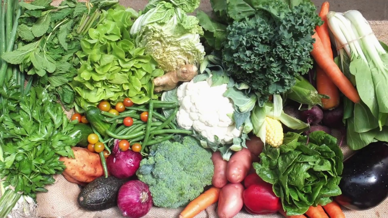 3 Steps to Sign up for Fresh Local Produce To Your Door YouTube