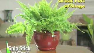 Snip Stick n Gro  As Seen On Tv Network