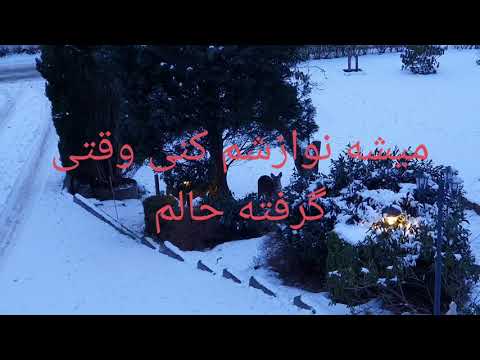   سیاوش قمیشی میشه نوازشم کنی وقتی گرفته حالم میشه ببندی بالمو آخه شکسته بالم