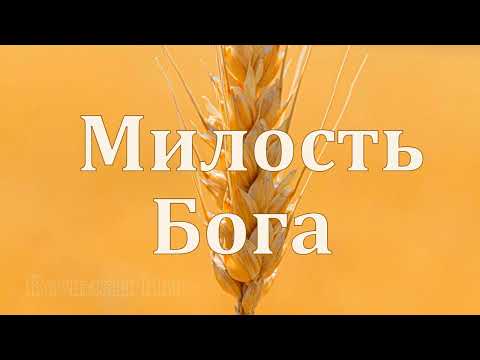 "Милость Бога"  Вочман Ни