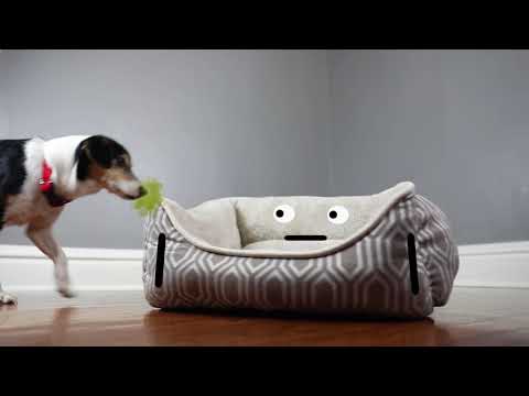 why is science diet bad