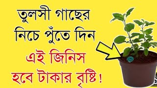 বৃহস্পতিবার তুলসী তলায় রেখে দিন এই বিশেষ একটি জিনিস সমস্ত সমস্যার সমাধা @Tatka.taja_Khobor