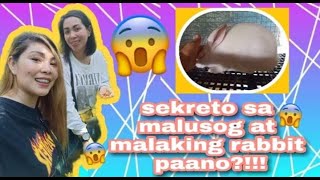 Rabbit Visitation Mr.jovito Biason Mga Sekreto Na Dapat Mong Malaman Bilang Newbie