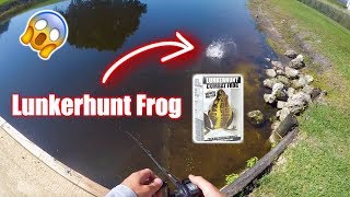 Lunkerhunt Frog gets *DESTROYED* by Snakehead and Bass! (Topwater Blowups)