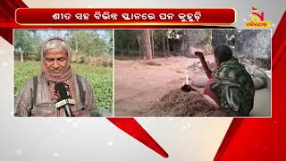 Mayurbhanj Shivers In Bone Chilling Cold, Heavy Fog Disrupts Vehicular Movement | NandighoshaTV