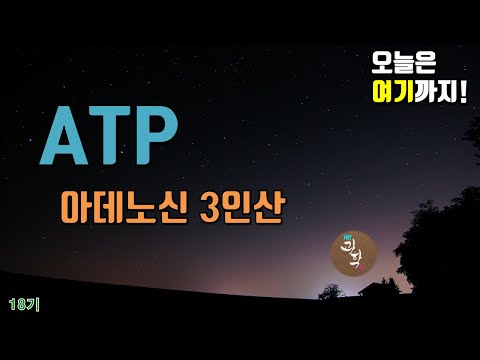 [오늘은 여기까지! 18기] ATP ㅣ 아데노신 3인산 ㅣ Adenosine triphosphate