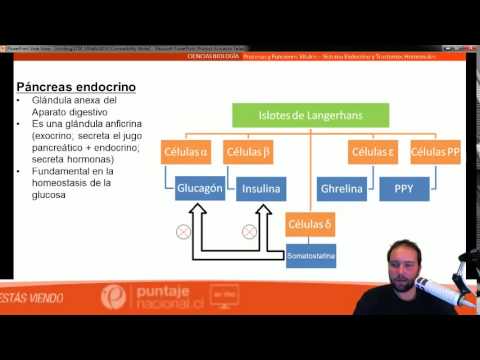 Clase 5 Biología 2014: Hormonas y salud endocrina preamble