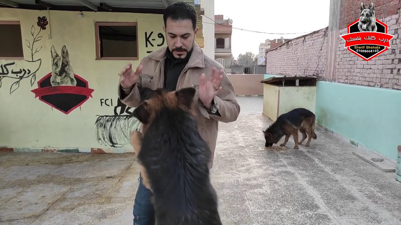 اسهل طريقه لطرد الديدان من كلبك مع كابتن شريف شحاته