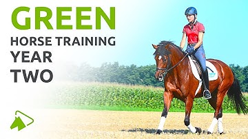 How to Train a Young Horse like Ingrid Klimke | Second Year of Basic Training | wehorse