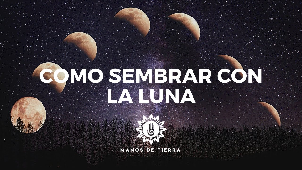 Como Sembrar Con LA LUNA 2024/ cultivar con fases lunares/ calendario