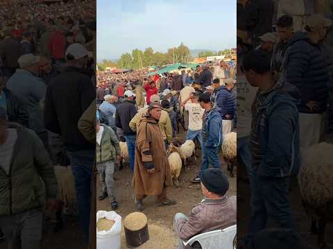 اكتب شي تؤجر عليه آيات قرآنية اللهاكبر  لا تهرب وتتجاهل حديث احتراما