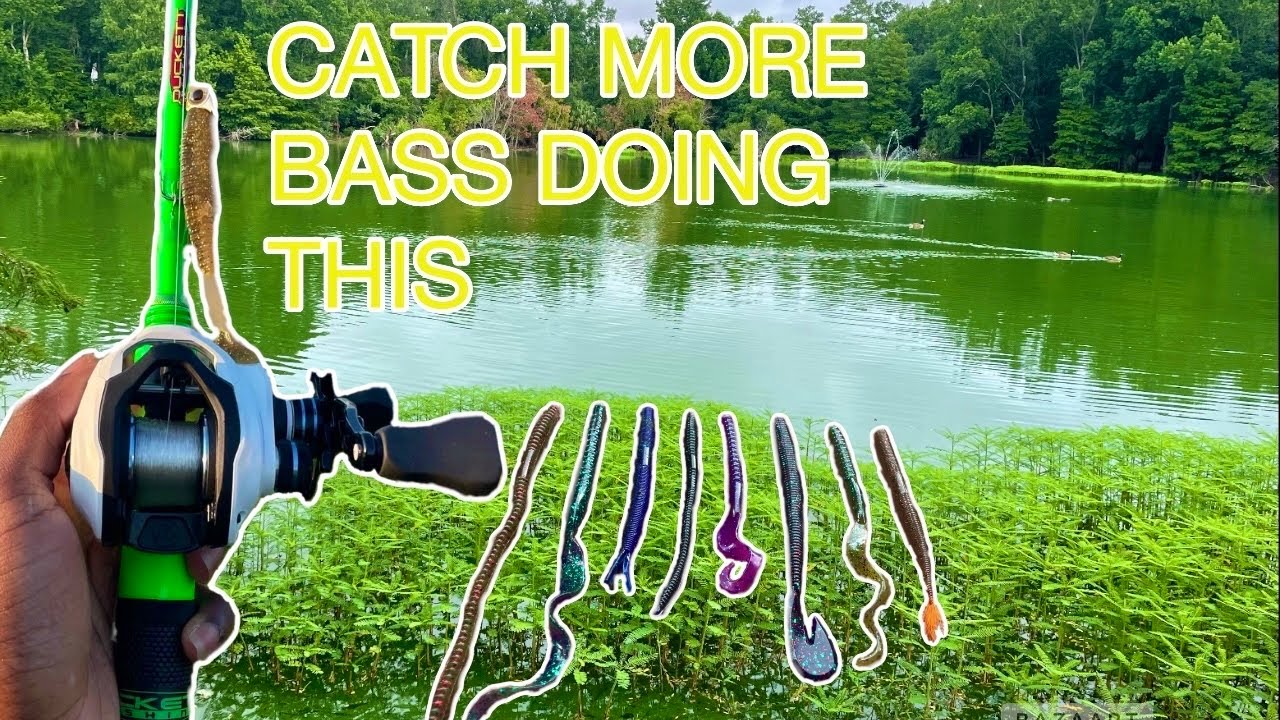 3 Retrieves That’ll Catch You More Fish From The Bank This Summer