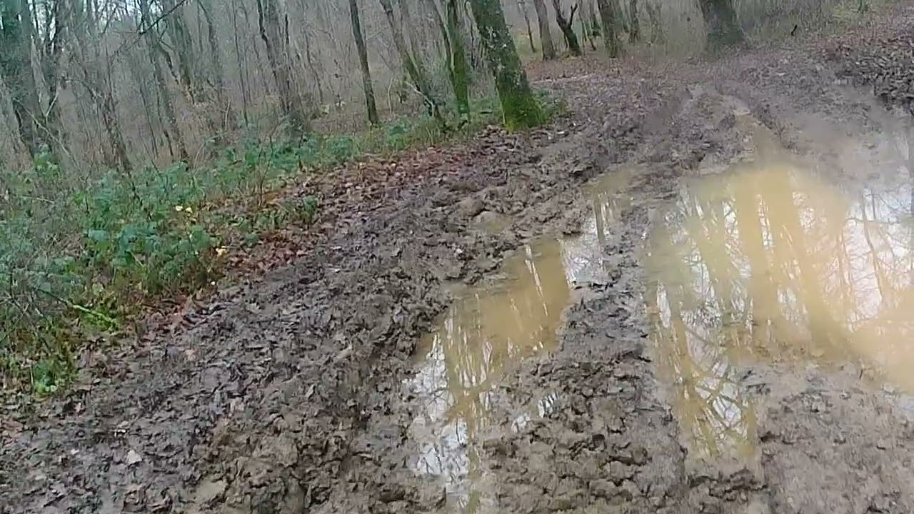 11 décembre 2025, les chemins de bois semblent un peu gras