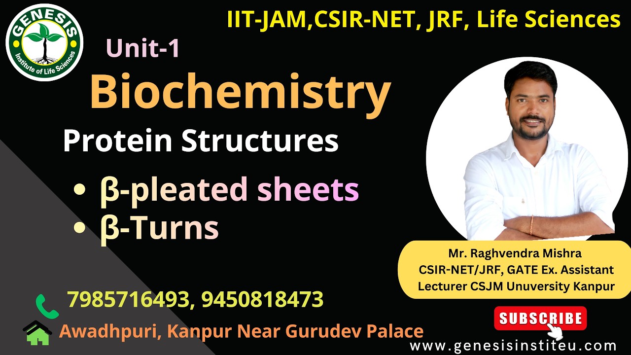 β-Sheets | β-Turns | Protein Structure | Biochemistry#genesis_institute#csir#csirnet #lifescience