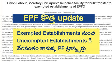 EPF Latest Update: Exempted నుంచి Unexempted Establishments PF Transfer