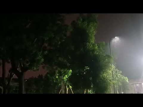 Gentle Rain at Night | Relaxing Sounds for Sleep, Study & Meditation