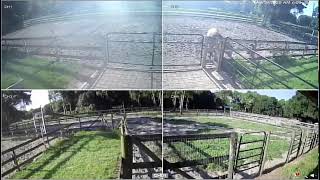 Ultimate Acres FarmCam 8/18/2026 PM