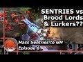 StarCraft 2: MASS Sentries vs Broodlords & Lurkers?!