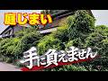 【決断！庭じまい】木も草もすべて伐って丸坊主に。