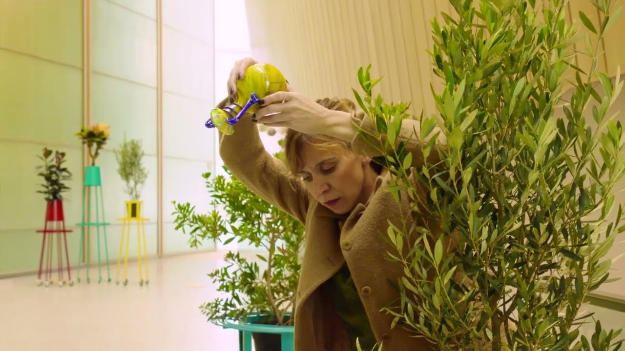 ARBOREA - CIA AMAITE / BIONIC FESTIVAL