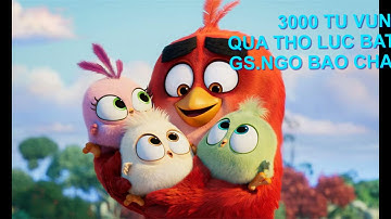 AUDIO 3000 TỪ VỰNG BẰNG THƠ LỤC BÁT_ SG. NGÔ BẢO CHÂU