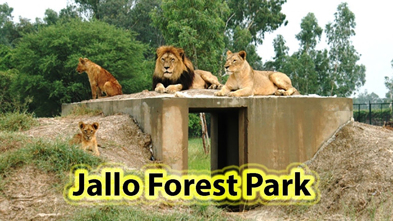 jallo forest safari park lahore