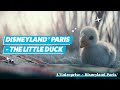 Disneyland® Paris - The little duck