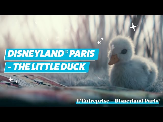 Großes Entenvideo