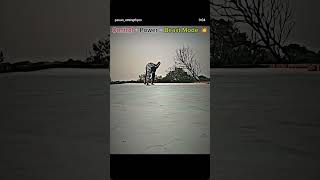 #cinematic #trending #viral #calisthenics #fitnessmotivation #pushupchallenge #pushups #strength
