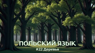 ПОЛЬСКИЙ ЯЗЫК #22 Деревья | ПОЛЬСКИЕ СЛОВА