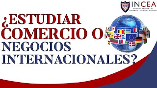 ¿Estudiar Comercio O Negocios Internacionales?