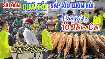 QUÁ KHỦNG HÀNG 100 NGÀN CON CÁ LÓC NƯỚNG ĐƯỢC HÓA KIẾP NGÀY VÍA THẦN TÀI Ở SÀI GÒN