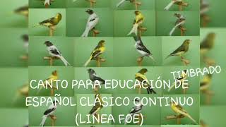 Canto original para enseñanza (timbrado español clásico continuo).