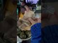 Pov:isi sama tapi beda nama???🙄#fypviral #kupat #mukbang #kuliner #market #visitkuliner #jajanan
