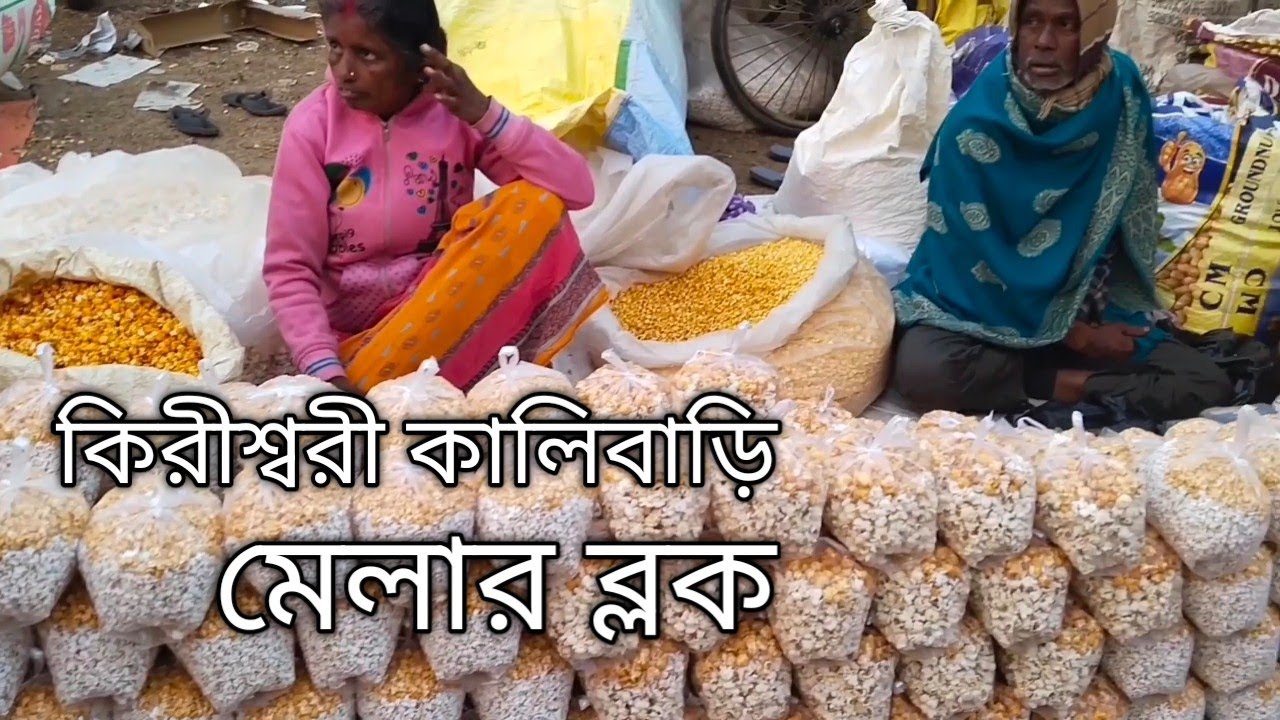 কিরীশ্বরী কালীবাড়ি🙏🛕 