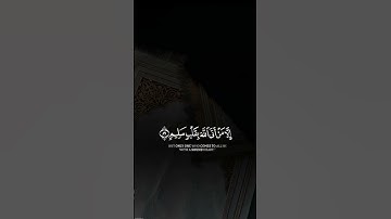 ولاتخزني يوم يبعثون #القارئ عامر السعيدي #قران #quran