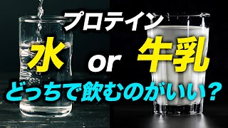 【必見】プロテインを水と牛乳で飲むそれぞれのメリットとデメリット | ビーレジェンド管理栄養士が解説【ビーレジェンド プロテイン】