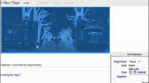 How to Insert Files in Wikischolars