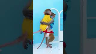 #monkey #monkeybaby #animalshome #entertainment #abc #baby