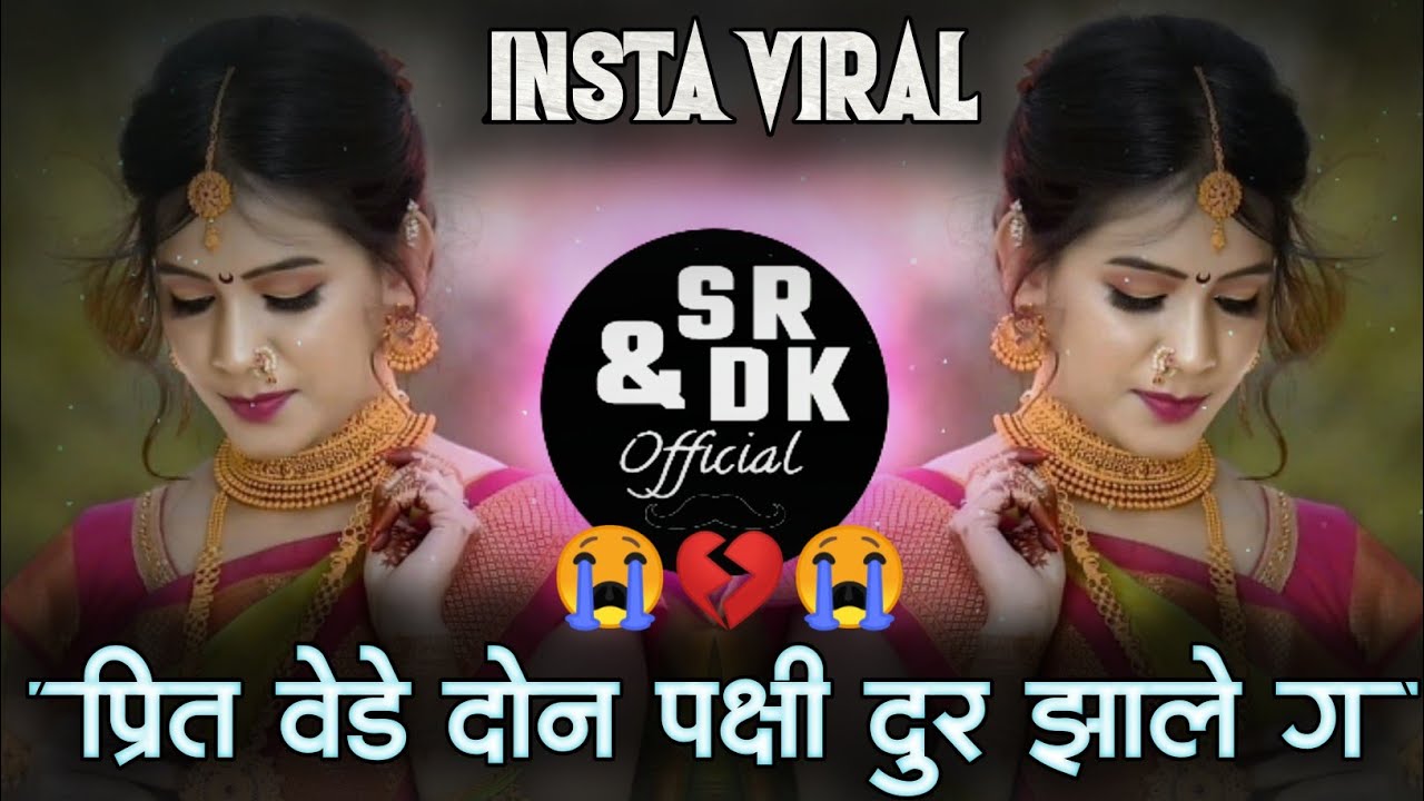         Prit Vede Don Pakshi Dur Zale Re  Sr  Dk Official  Insta Viral