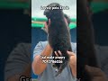Gsd male puppy  in erode 7010786036.#petshub #puppy #trendingshorts #funnyvideos #dog #petslove