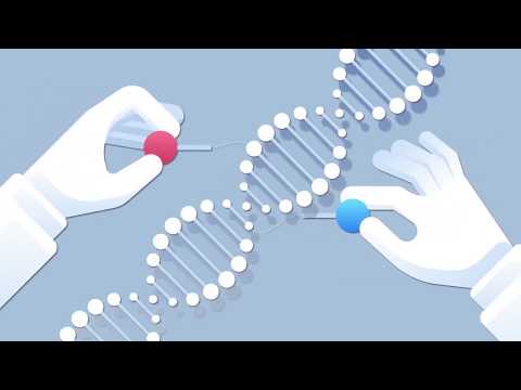 PCR (Polymerase Chain Reaction) Virtual Experiment