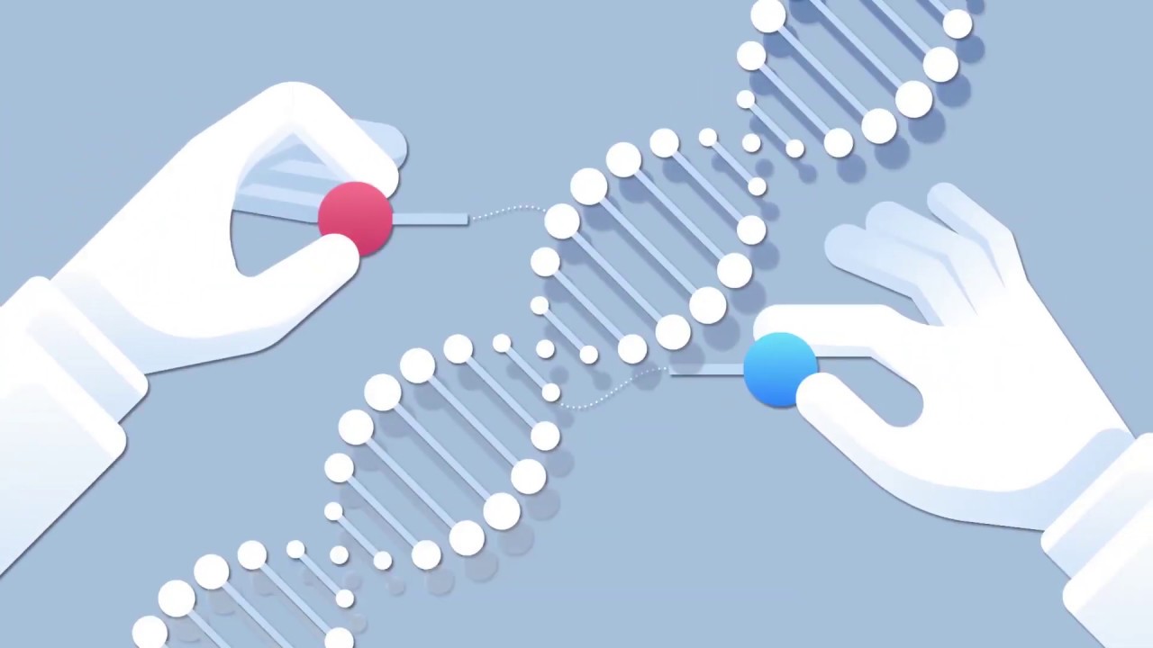 Western Blot Simulation - Molecular Biology Virtual Lab - YouTube