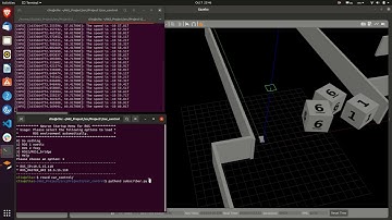 Gazebo with Publisher and Subscriber