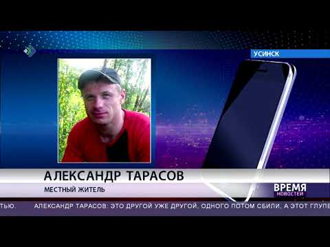 Хищники наступают: что делать при встрече с волком?