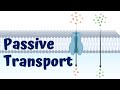 Understanding Passive Transport