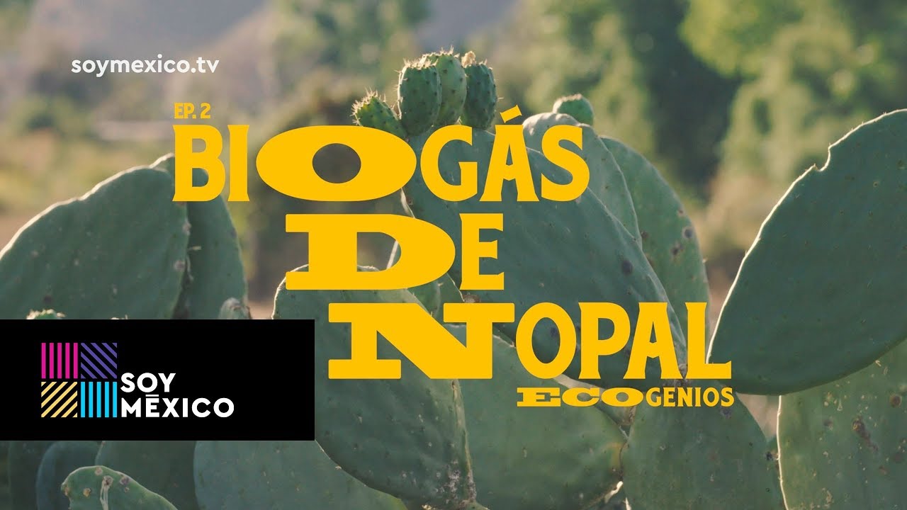 Ecogenios: Biogás de nopal | Capítulo 02 | #SoyMéxico