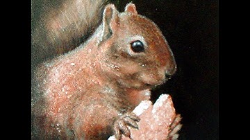 Learn how to paint a Squirrel in Acrylic on Canvas. Part 1