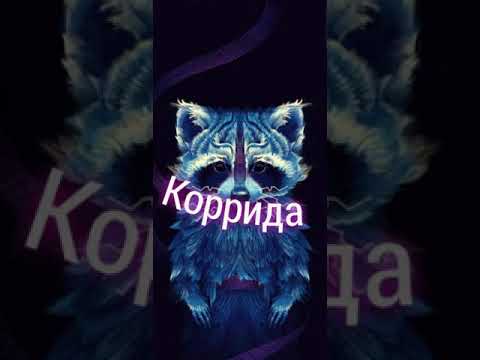 H8 HOOD- коррида