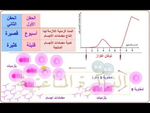 فيديو: هل يمكن إعطاء ذوفان الكزاز تحت الجلد؟